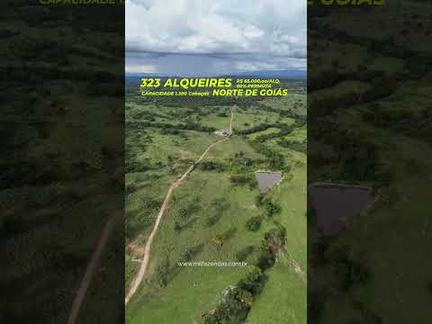 Fazendão à venda 323 Alqueires para Pecuária, Prox. de Colinas do Sul - Goiás #fazendaavenda #agro