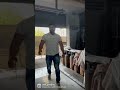 #panghalfitness