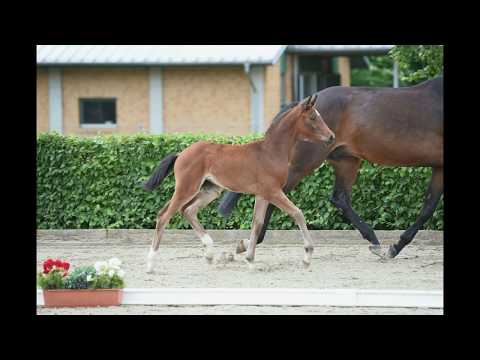 KN 06 Beringia SF v. Ben Benicio - Lord Fantastic