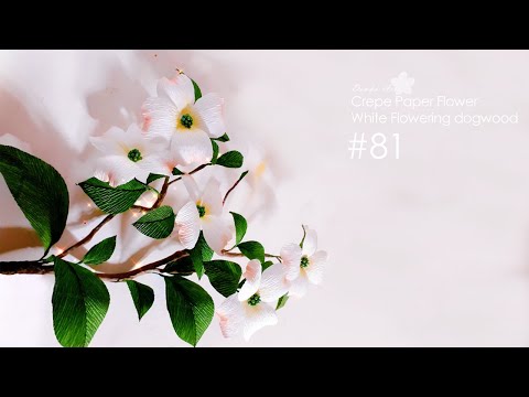 paper flower "white flowering dogwood" making tutorial n.81 | DIY | Healing