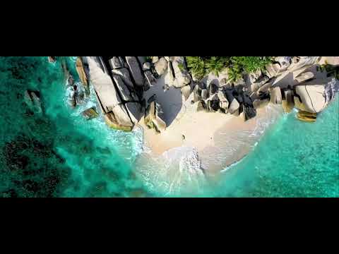 NetNobody (Fan Made) SHINE Music Video