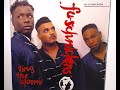Fu Schnickens Ring The Alarm Steely Clevie Remix 1991 Jive Vinyl Upload Thedailybeatdrop
