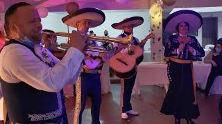 Video de Mariachi Juvenil Luna de México
