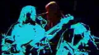 Sometimes you feel like a nut