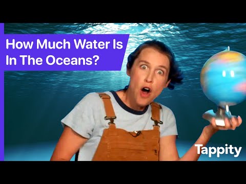 How Much Water Is In The Oceans? | Oceans for Kids | Ask Tappity: Science Questions & Answers