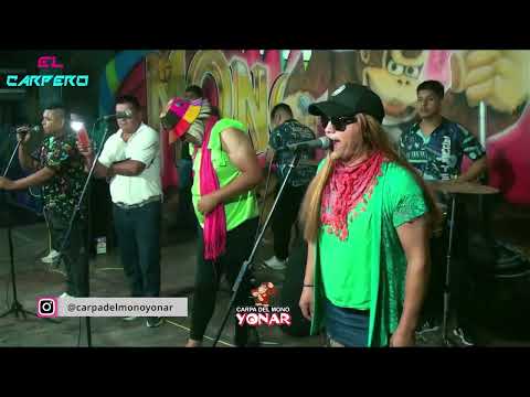 AGUA Y SOL | SHOW EN VIVO | CARPA DEL MONO YONAR | SALTA | EL CARPERO | 2024 | ARGENTINA