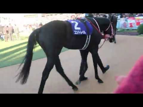 ホープフルステークス　パドックのコントレイル（１シーン）