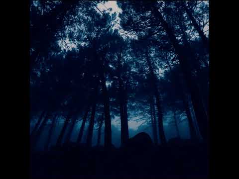 [FREE] Tony Boy x Shiva x Don Pero Hard Trap Beat Sad | NIGHT HARD