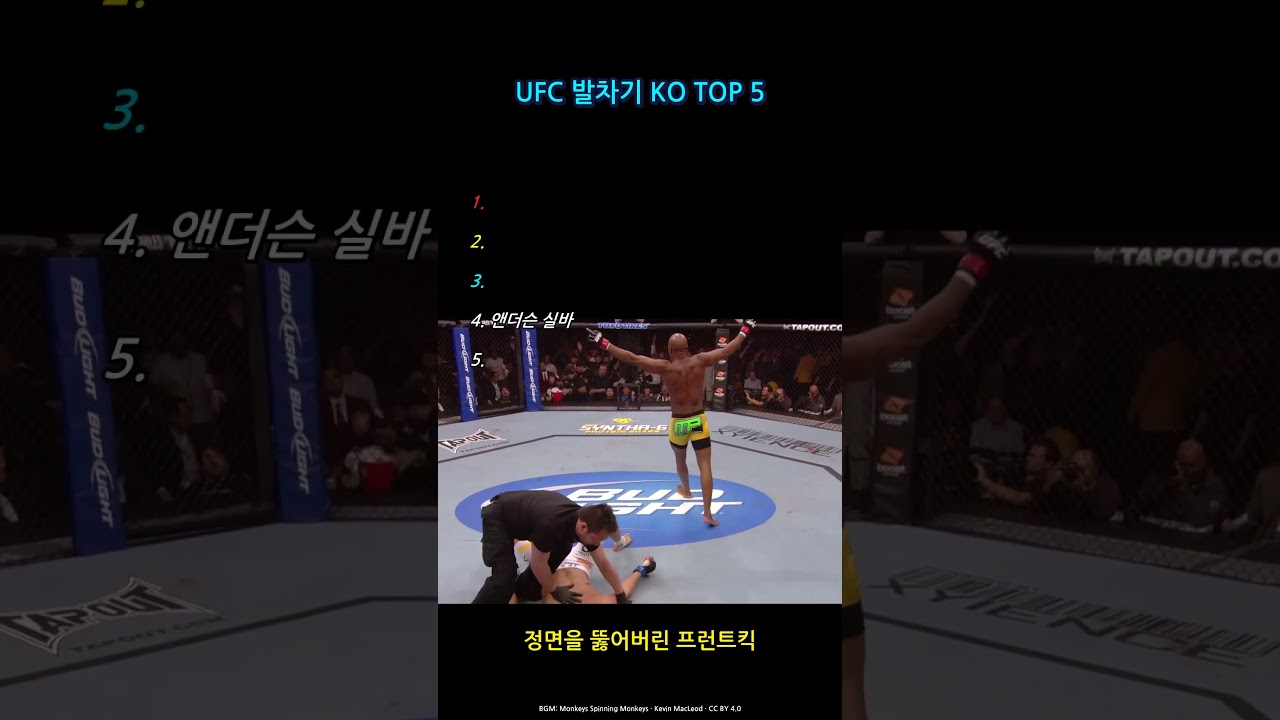 발이 잡혔는데 오히려 KO, UFC 발차기 KO TOP 5