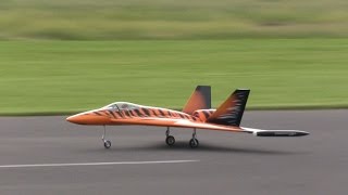 preview picture of video 'RC Wild Hornet, Crash - ModelPark Suché 2014'