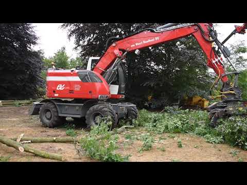 Bomen Rooien Met verreiker en mobiele kraan