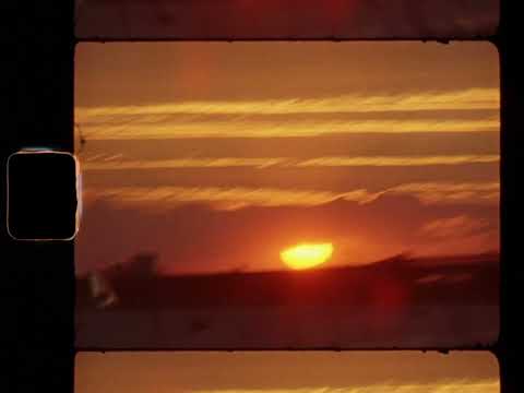 CoezOfficial and Frah Quintale