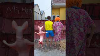 Download lagu Wow, the cat is dancing cutely mp3