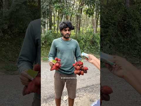 റംബൂട്ടാൻ അല്ല 😄