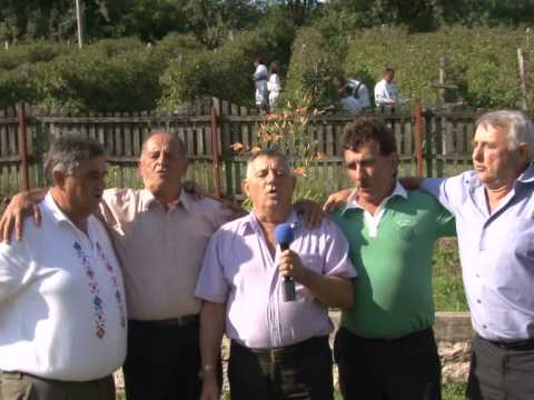 Radojko Stojkovic i Moravci - Tri devojke zbor zborile - (LIVE) - (Tv Duga Plus 2015)