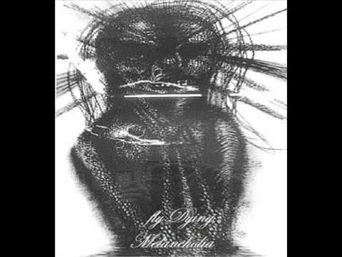 Fly Dying - The World Is Nothing