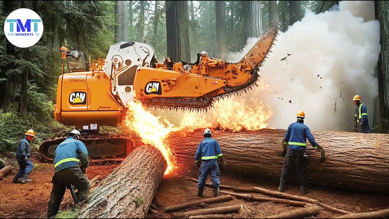 Extreme Dangerous Fastest Big Chainsaw Cutting Tree Machines | Monster Stump Removal Excavato #5