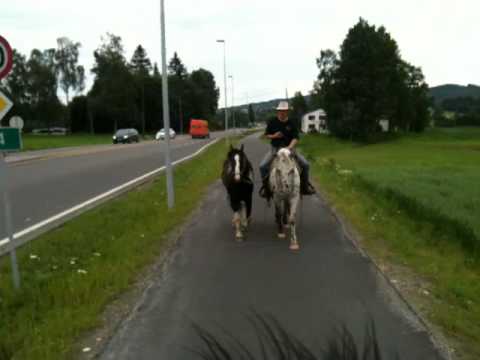 Tordensky: Traffick training