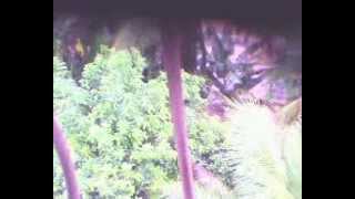 preview picture of video 'Enchente no dia 24 de Dezembro de 2013 em Santa Leopoldina'