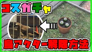 【GTA5】コスガチャに必須！鳥アクターの解除方法