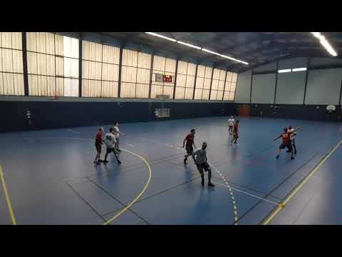 Ultimate FFFD - Sesquidistus vs Friselis 2 - N3 Indoor Open 2020