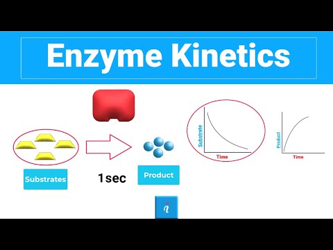 Enzyme Kinetics (Vmax, Kcat, Km and more)