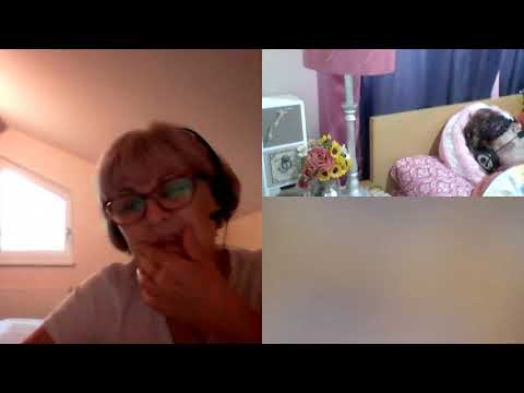 HIPNOZA REGRESIVA.RO-749.Florin,Viciile si Tunelul de Incarnare. E. LASCU  si C. MORARU telepat