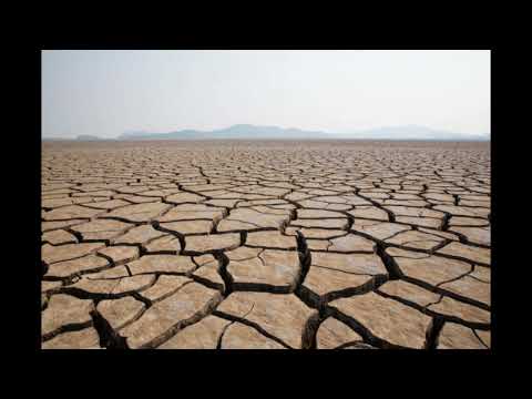 SHARLANQ - SUSHA prod.  Flexus