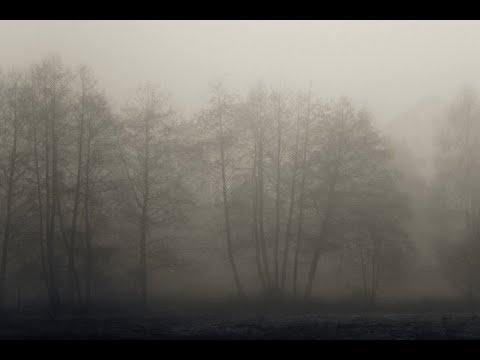 Arctica - Annuminas (Ambient, Dark Ambient, Field Recordings, Drone)