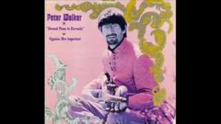 Peter Walker - Second Song