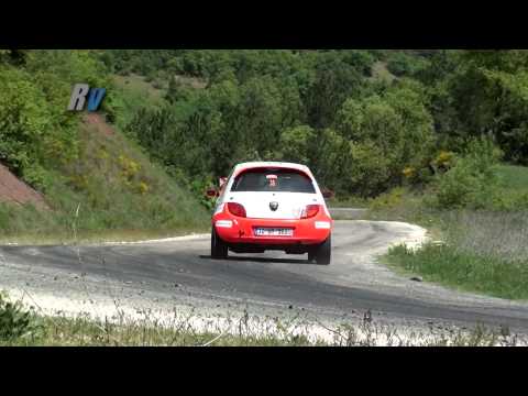 2013 Battalgazi Rallisi / Hakan Uçucu - Meltem Kuray / Ford KA