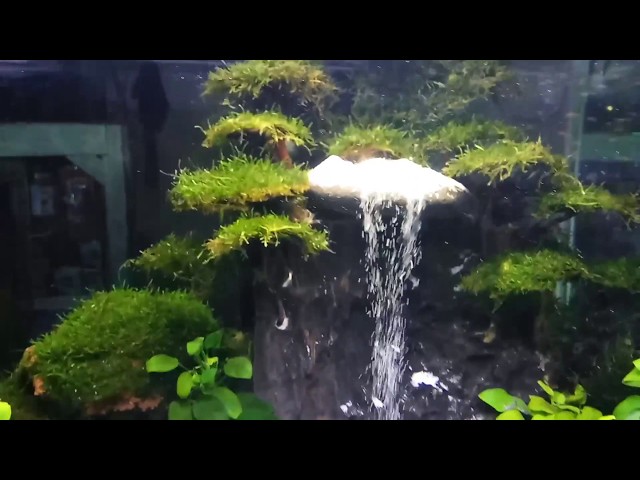 TUTORIAL CARA MEMBUAT AIR TERJUN PASIR DALAM AQUARIUM