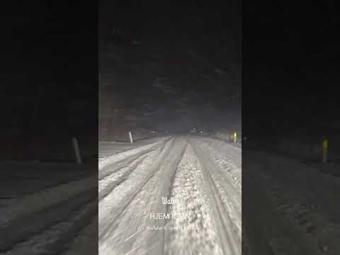 WALM-Hjem igen #danskmusik #dk #musik #dkrock #walm #hjem #danskerne #uden #savn #sad #tro #håb