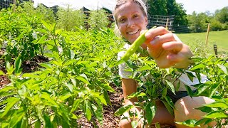 2022 FULL GARDEN TOUR