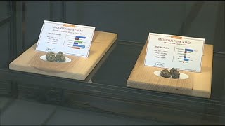 Pot dispensaries hope to sell recreational marijuana