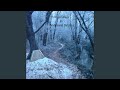 Down in Yon Forest