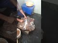 Indian Salmon Fish Cutting