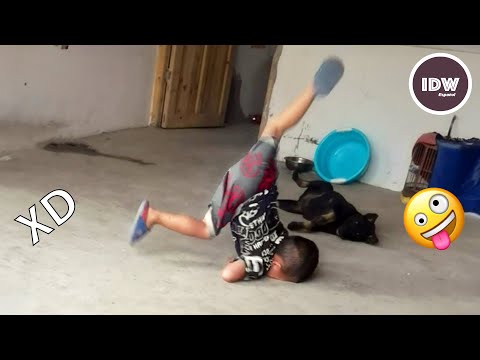 SI TE RÍES PIERDES NIVEL DIOS #298 🤣 VIDEOS DE RISA MUY GRACIOSOS 2025😆