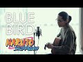 【NARUTO】Blue Bird - Ikimonogakari | ブルーバード / いきものがかり(Acoustic Cover by Tereza)