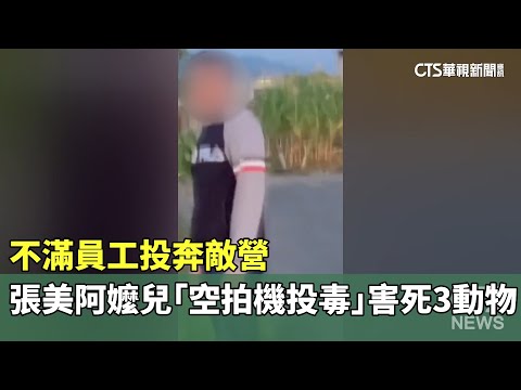 不滿員工投奔敵營　張美阿嬤兒「空拍機投毒」害死3動物