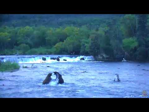 128's Next Victim of the Day 151 2017 08 29