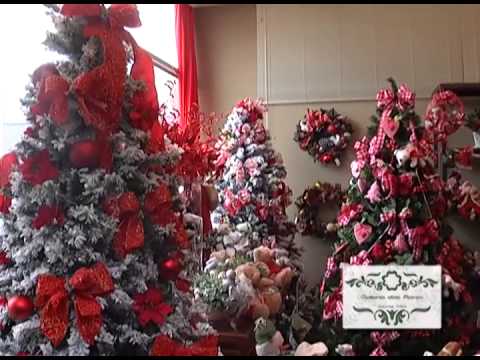 Programa Neusa Bighetti exibido no dia 10/11/2013 - Galeria das Flores