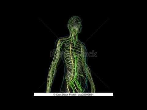 udolf Steiner - Rhythmen im Kosmos und im Menschenwesen - 14. Dornach, 25 . Juli 1923 GA 350