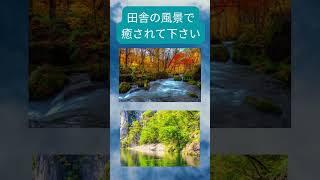 #田舎の川風景 #田舎  #川