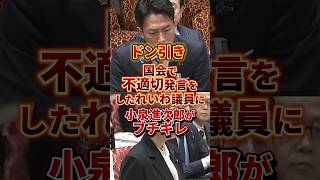 小泉進次郎ブチギレ案件 #政治 #国会 #小泉進次郎 #れいわ新選組