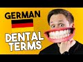 German Dental/Dentist Terms EXPLAINED and TRANSLATED