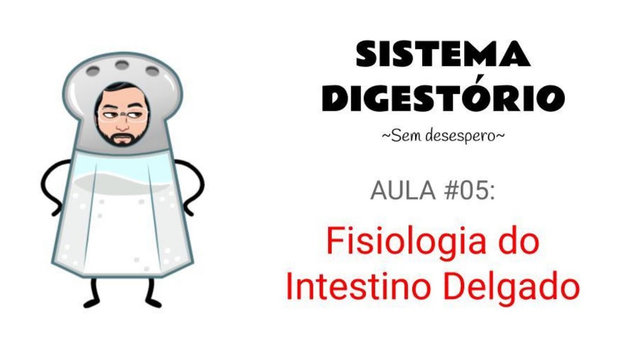 Sistema Digestorio Aula#05 (Prof. André Oliveira; UFMG) - Fisiologia do Intestino Delgado