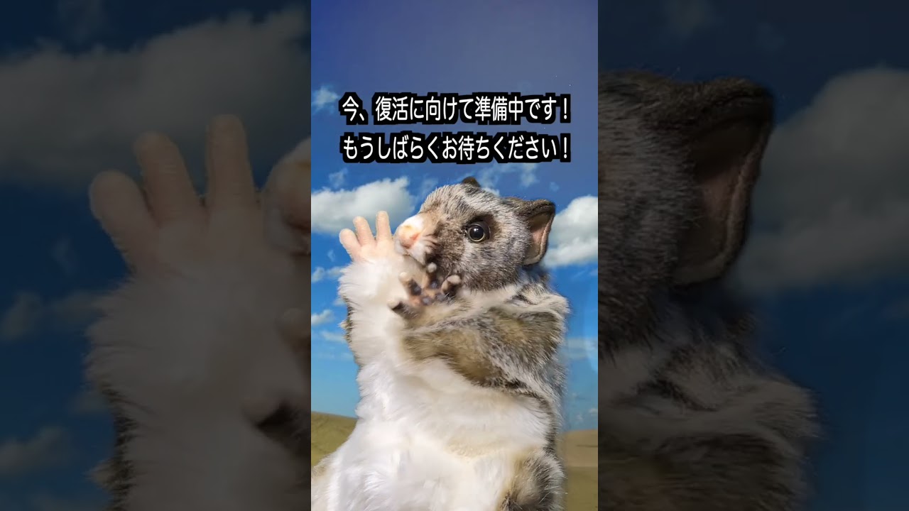 【ワンピース 考察】大切なお知らせ！ #ワンピース #山賊王 #one #ワンピース #山賊王 #onepiece