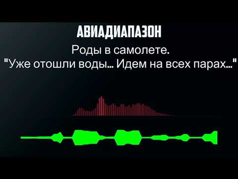 Роды в самолете  ''Уже отошли воды... Идем на всех парах...''