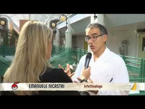 Parassiti urinogenital sistemi Come liberarsi da parassiti per mezzo di un assenzio